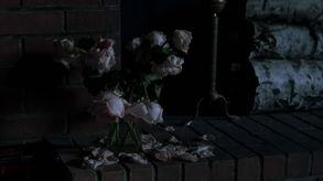 破碎之花,探寻心灵裂痕中的美丽与重生